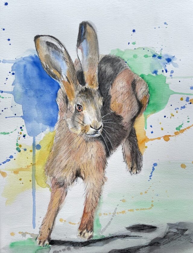 Vivid and splashy watercolour hare painting