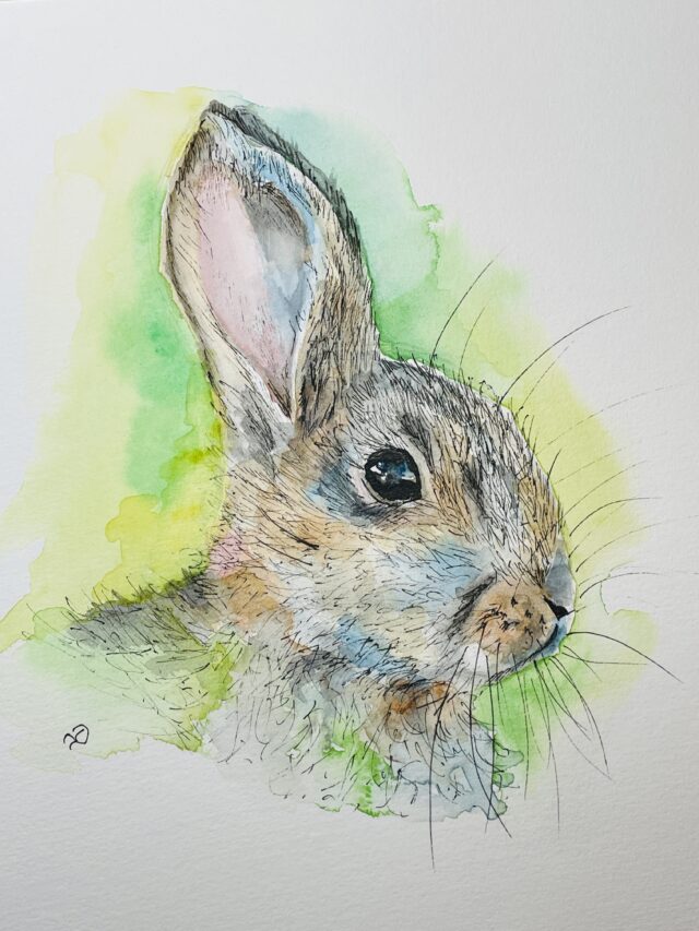 Watercolour Bunny by Vicki Davidson