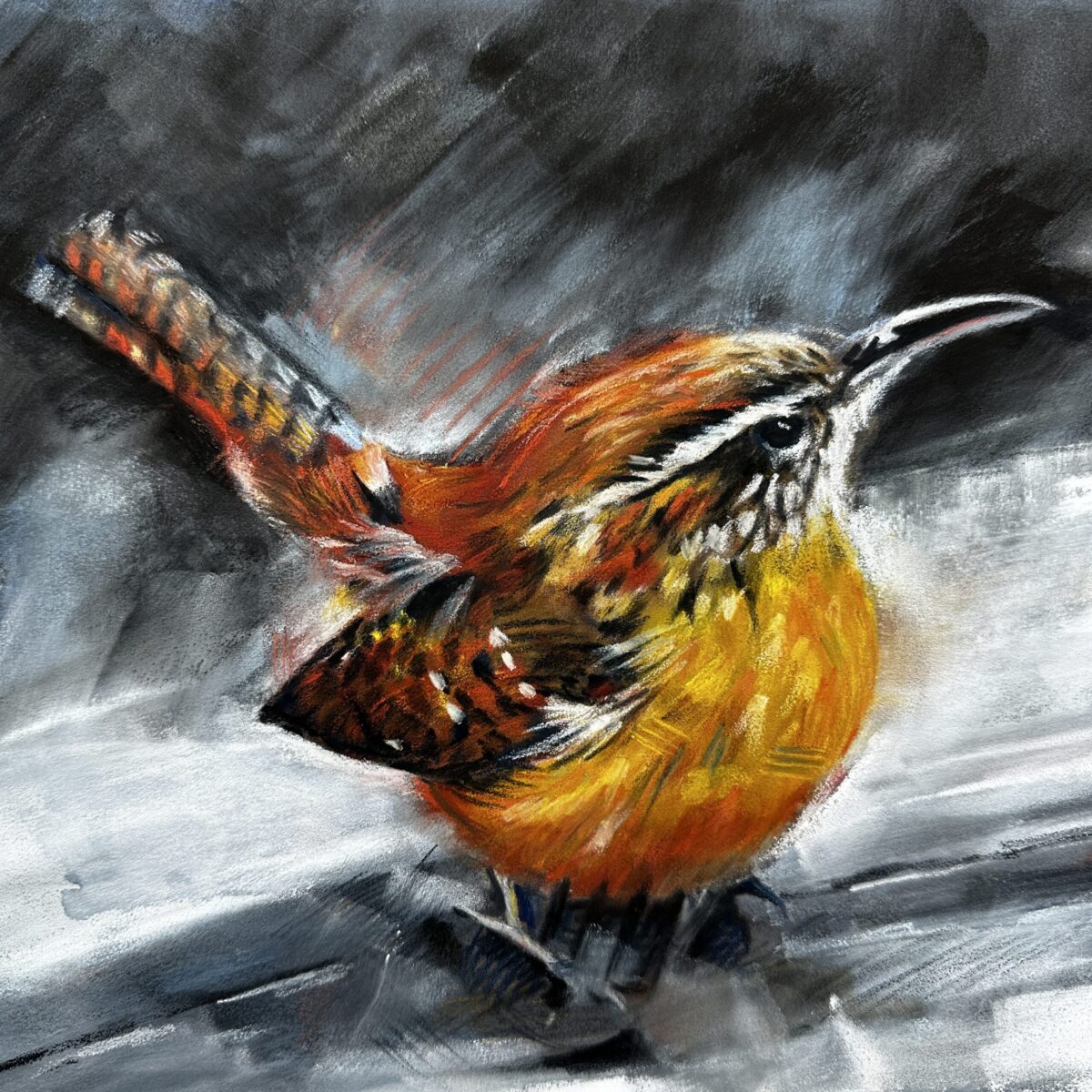 Pastel drawing of a little Jenny Wren bird