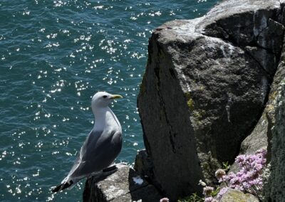 On The Rocks