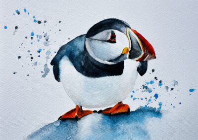 Puffin Watercolour. High res